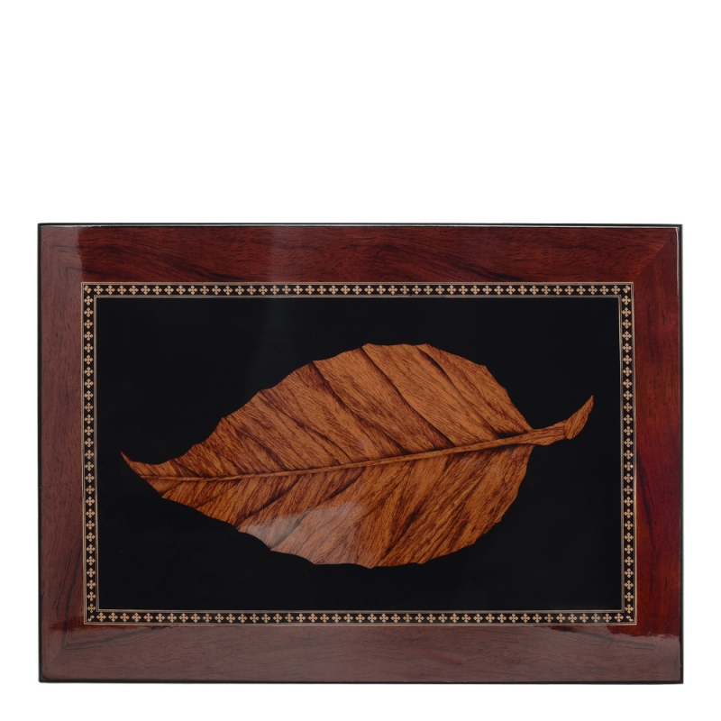 Humidor na 100 cygar Deauville Tobacco Leaf HUM-100TY od góry Humidor na 100 cygar Deauville Tobacco Leaf HUM-100TY od góry