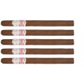 zestaw pięciu cygar Casa Turrent 1880 Rosado Lancero zestaw pięciu cygar Casa Turrent 1880 Rosado Lancero