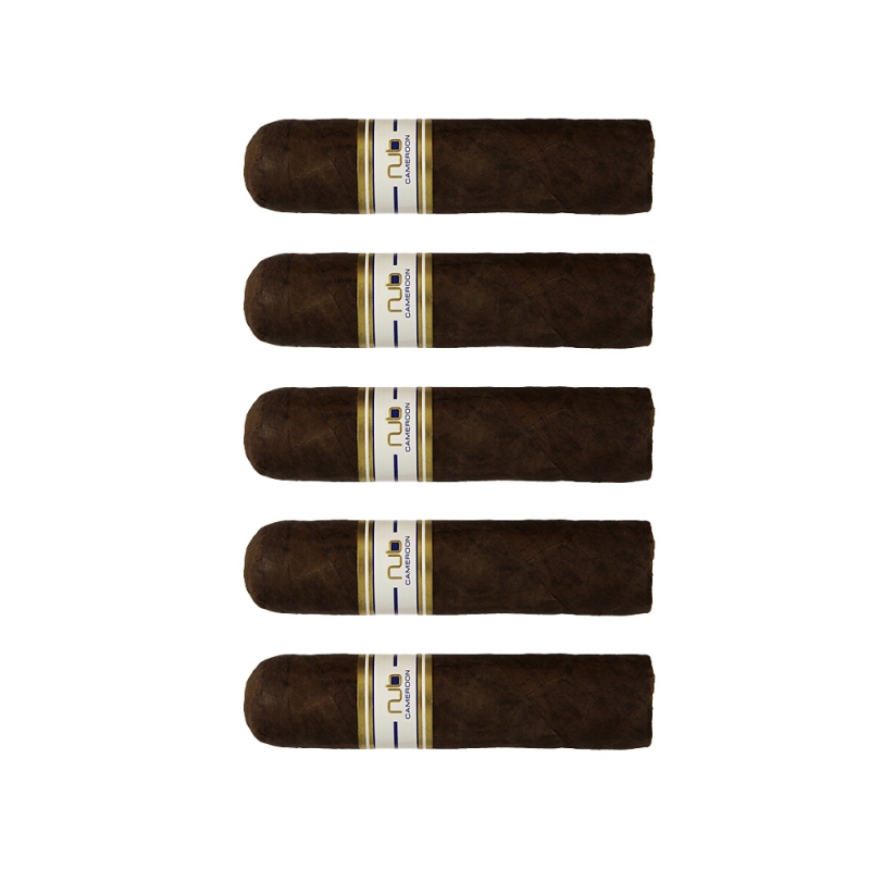 5 sztuk cygar bardzo dobrej jakości cygar idealnych dla koneserów