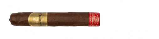 jedno cygaro ze  złotym pierścieniem La Aurora Dominicana Robusto