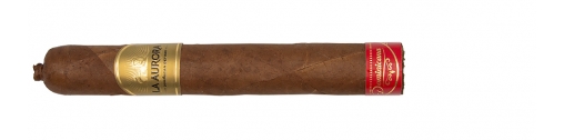 jedno cygaro z Dominikany La Aurora Dominicana Toro