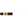 Rocky Patel Decade Short Robusto