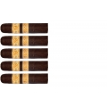 zestaw pięciu cygar Rocky Patel Decade Short Robusto