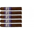 zesatw pięciu cygar Perdomo LOT 23 Maduro Robusto