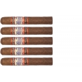 zestaw pięciu cygar Perdomo Lot 23 Sungrown Robusto