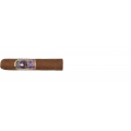 Casdagli Epicurist Petit Robusto