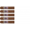 zestaw pięciu cygar Casdagli Epicurist Petit Robusto
