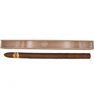 Stravaganza by La Aurora 1903