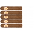 zestaw pięciu cygar Laura Chavin Classic No. 555 Gran Robusto