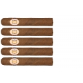 zestaw pięciu cygar Laura Chavin Classic No. 55 Robusto