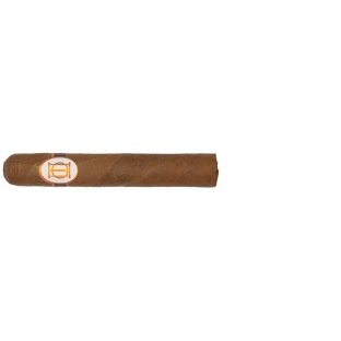 cygaro Laura Chavin Classic No. 55 Robusto