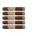 5 cygar z honduraku marki alec bradley