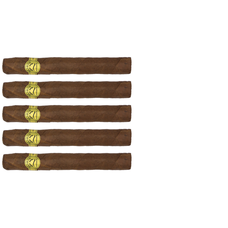 zestaw pięciu cygar Padron Series Corticos Natural