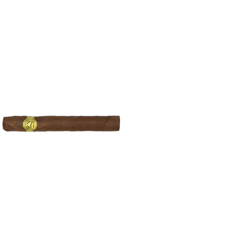 nie duże cygaro Padron Series Corticos Natural