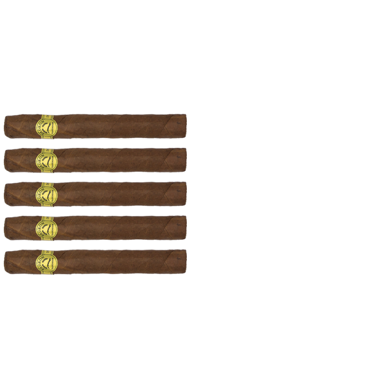 zestaw pięciu cygar Padron Series Corticos Natural