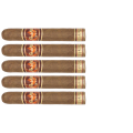 zestaw pięciu cygar Flor de Oliva Robusto Natural