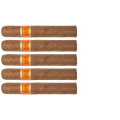 Cain Daytona Straight Ligero 550 Robusto