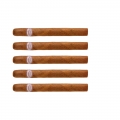 5 cygar rafael gonzales kubańskiej marki, idealne dla początkujących palaczy