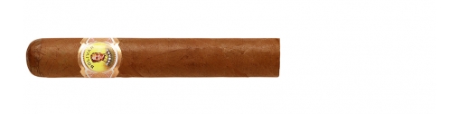 cygaro bolivar dla początkujących, dobrze oceniane w rankingu cigar aficionado