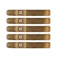 5 cygar w jasnej pokrywie connecticut w złoto brązowym pierścieniu z logo marki perdomo