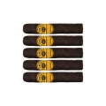 5 cygar z dominikany w formacie robusto z kontrastującym żółtym pierścieniem