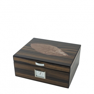 piękny brązowy humidor z rysunkiem liścia tytoniu