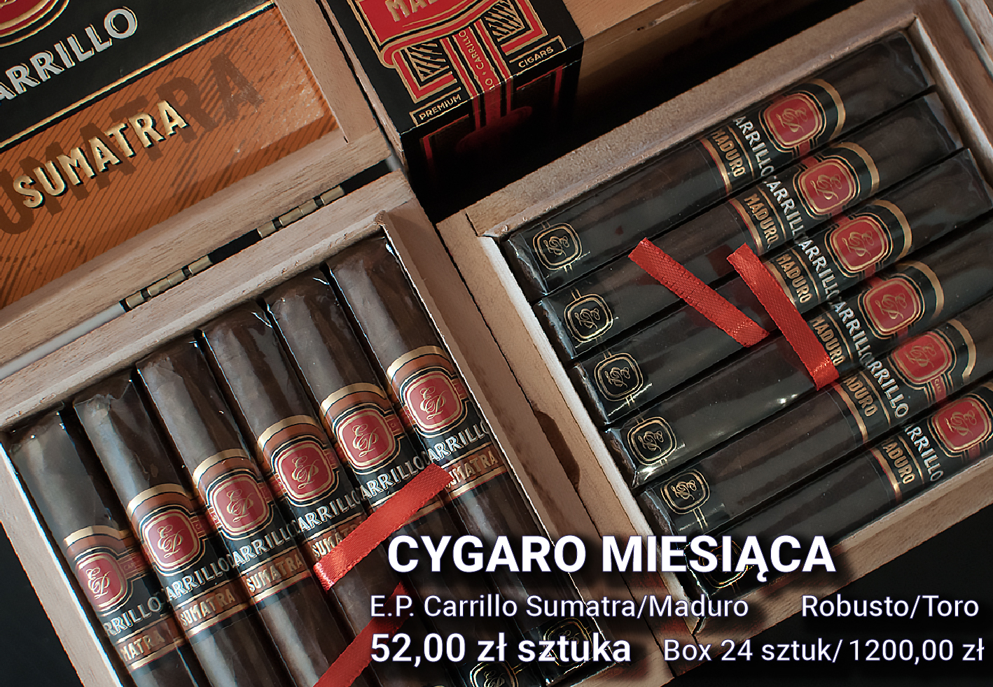 CYGARO MIESIĄCA
